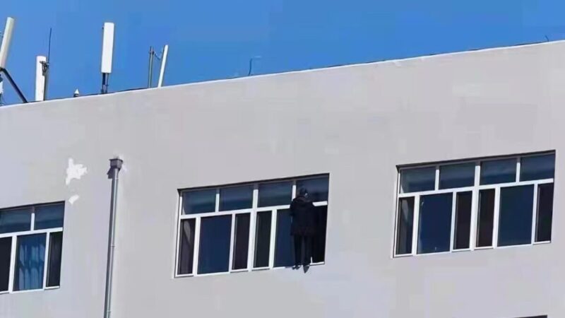 传哈理工大一学生跳楼自杀