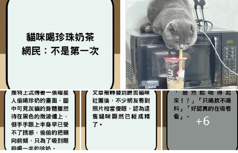 貓咪偷喝珍珠奶茶照瘋傳　網友笑翻