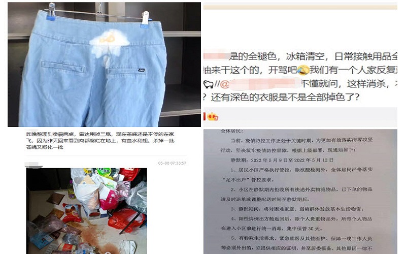 江苏入户消杀：电器衣物报废 雪柜物资被扔地生蛆