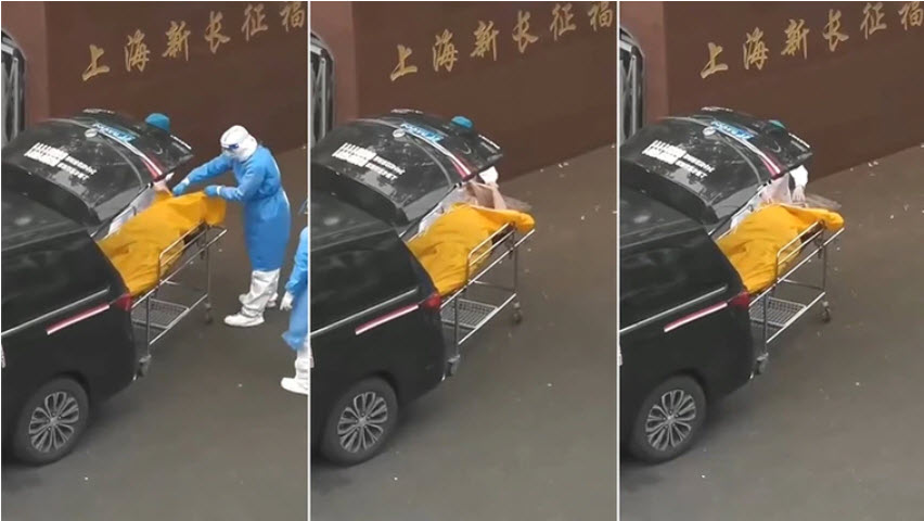 上海活人险被火化  官媒称医生无看诊能力 被吐槽
