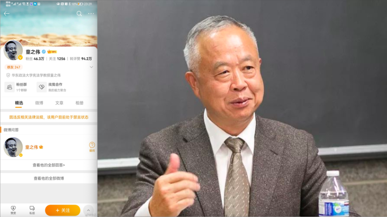 上海华东政法大学宪法学教授童之伟