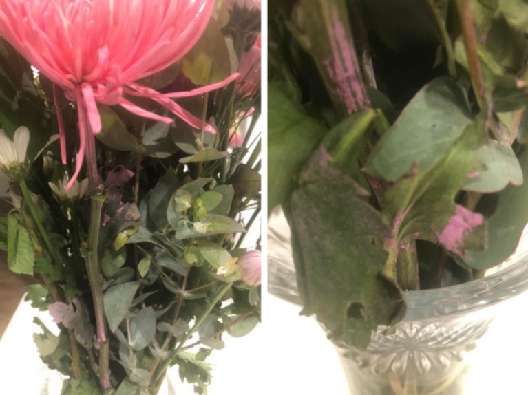 Woolworth喷漆鲜花