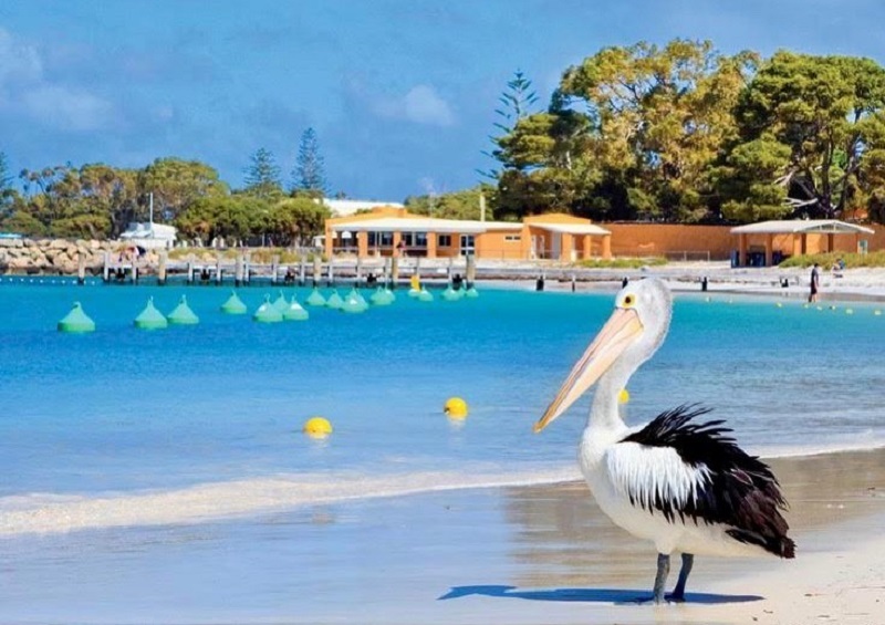 Rottnest