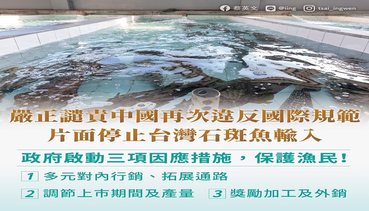 蔡英文谴责中国片面停止台湾石斑鱼输入