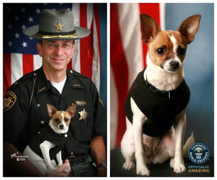 警犬