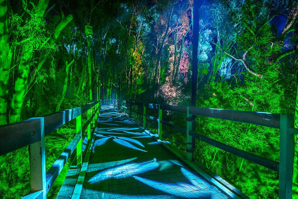 Moama Lights艺术节