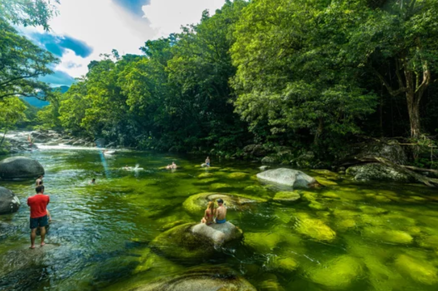 昆州Daintree国家公园