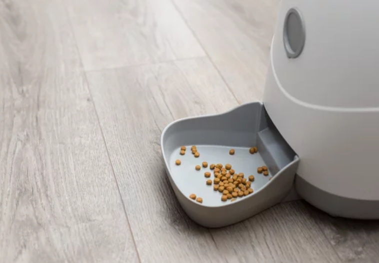 自动宠物喂食器
