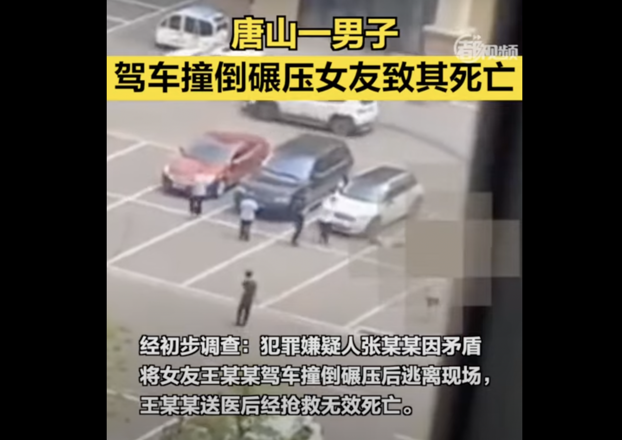 视频截图