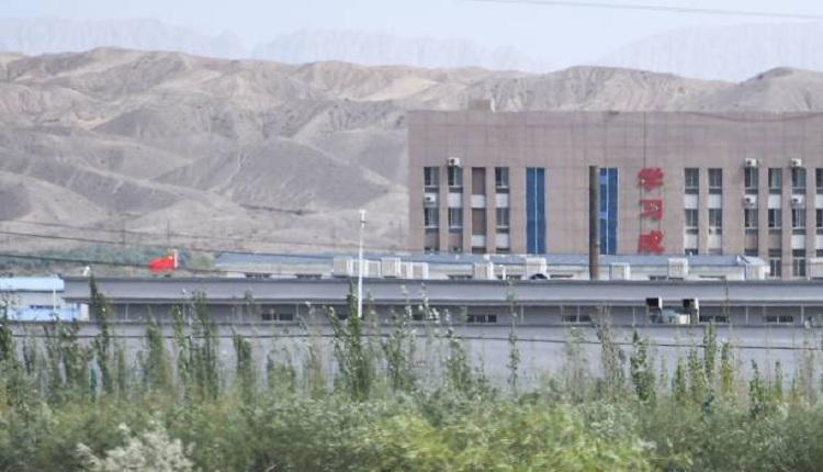 新疆再教育营