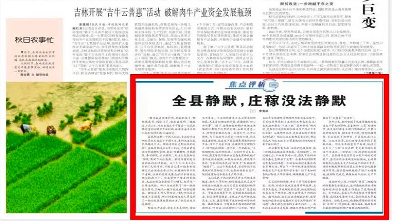 河南农民疫情期间下地打药 被罚做10遍检讨