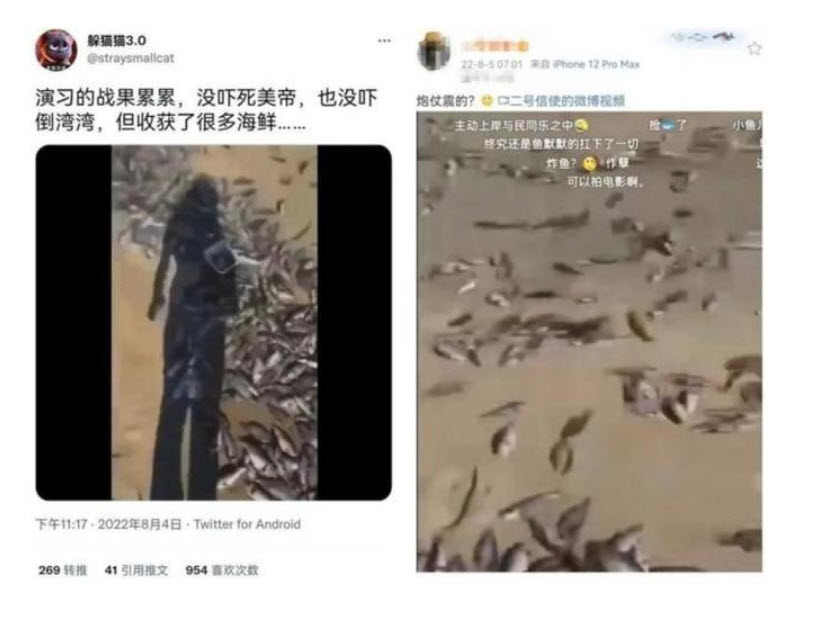 網傳台海軍演造成遍地死魚 陸媒:魚在演習前就死了