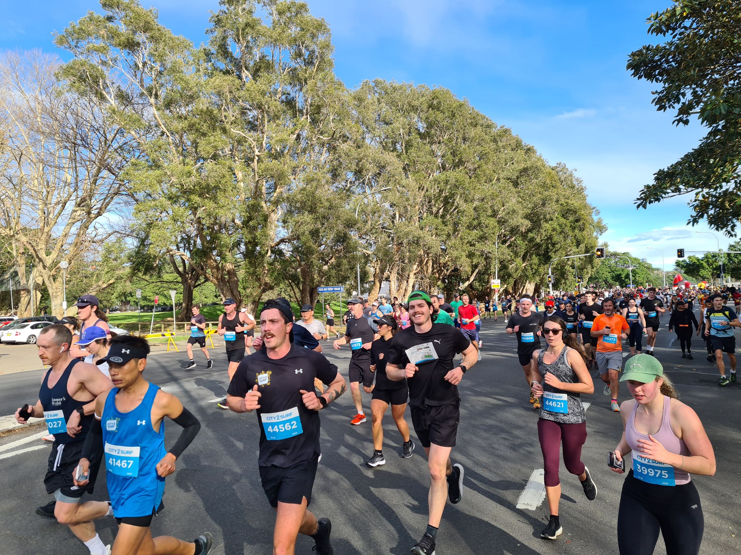 悉尼 City2Surf 长跑