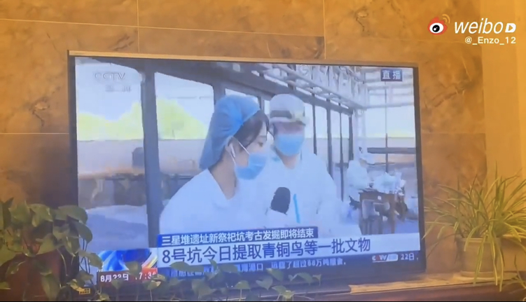 央视直播三星堆突然中断 疑记者跌入遗址坑洞