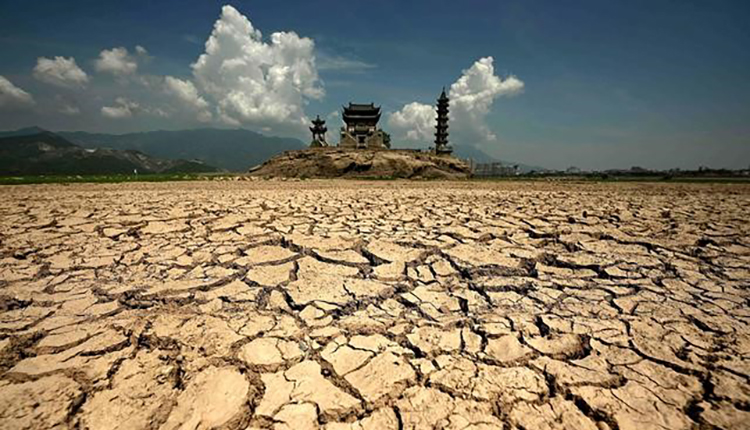 鄱阳湖干涸的河床（图片来源：微博截图）