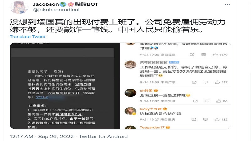 中国大学生就业有多难！付费上班成真了！