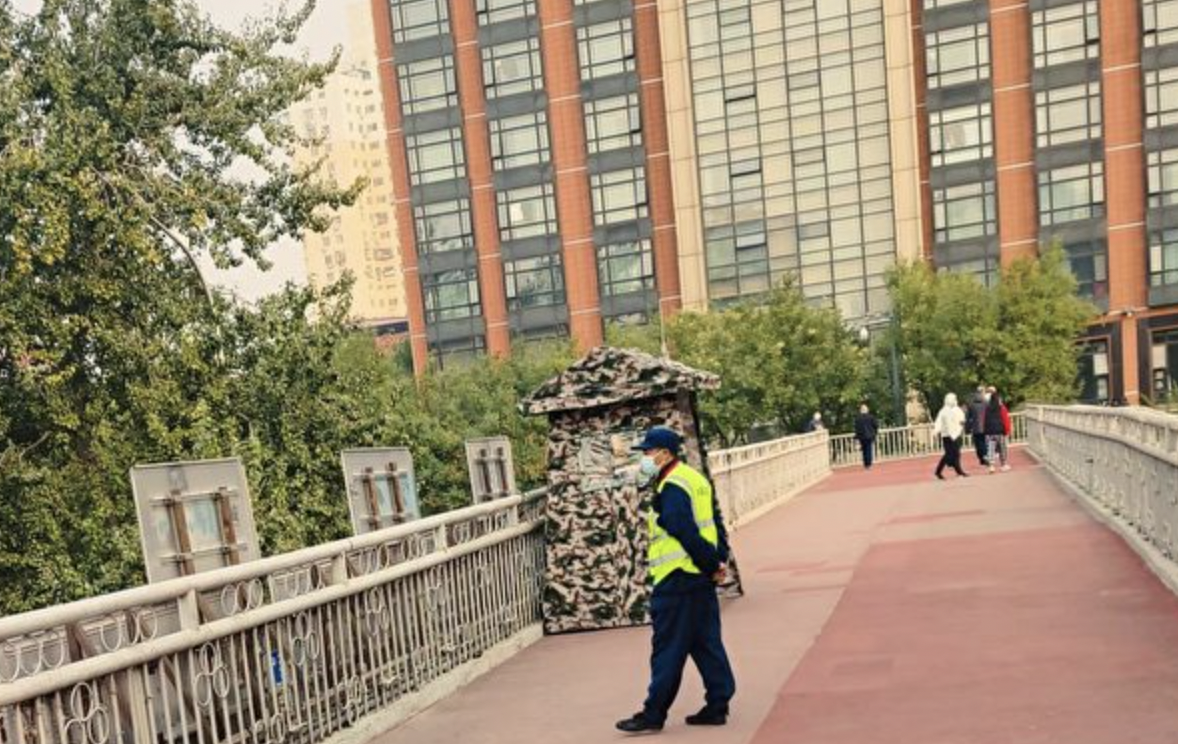 网络图片