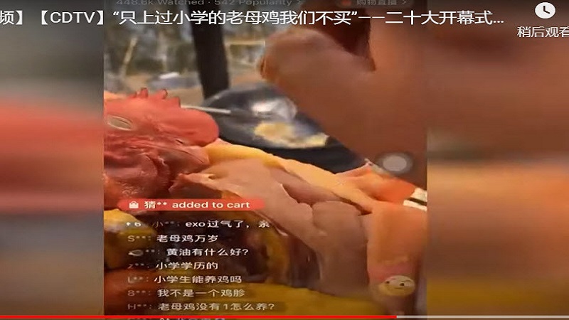 “不买只上小学的” 网友通过老母鸡直播 讽刺习近平
