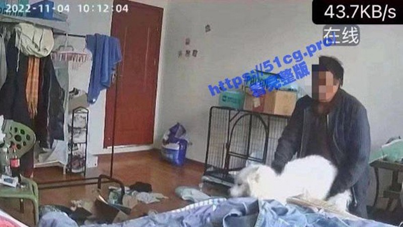 变态！云南大理一房东偷闯女租客家性侵宠物狗