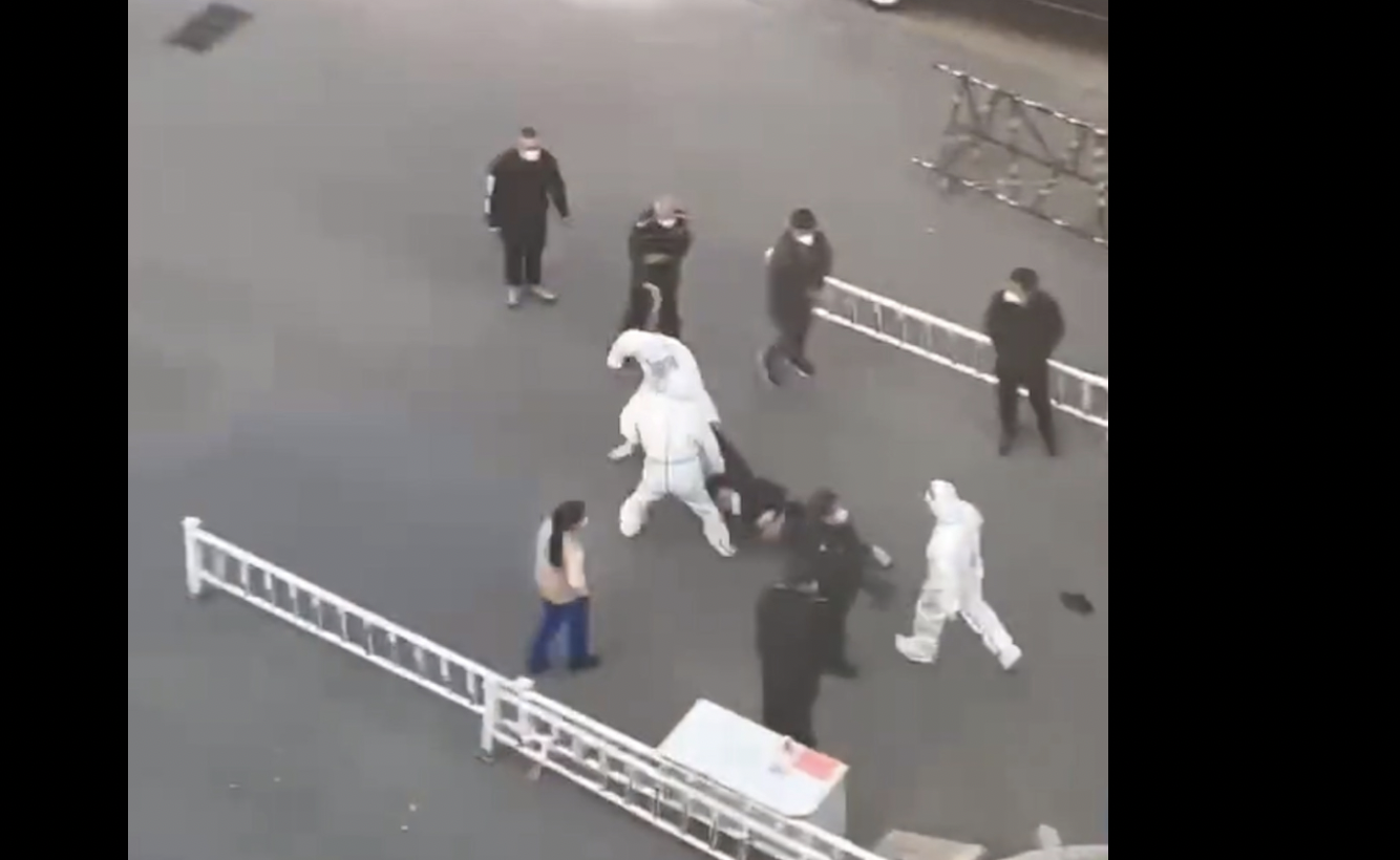 视频截图