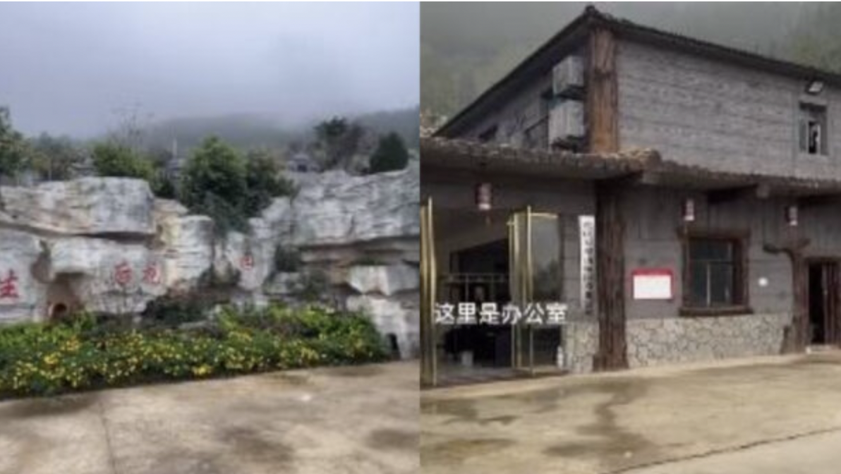 视频截图