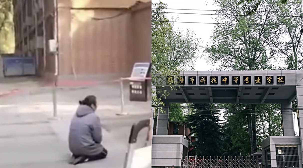 网络图片