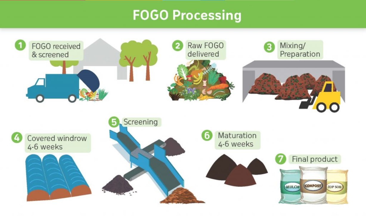 FOGO