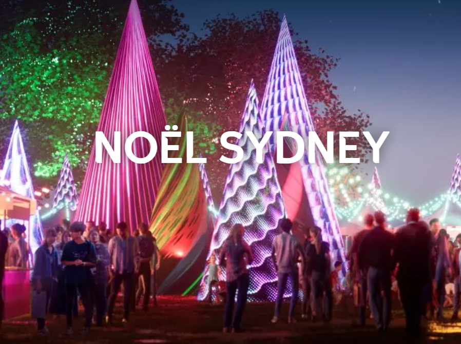 Noël Sydney活动（图片来源：Noël Sydney网页截图）