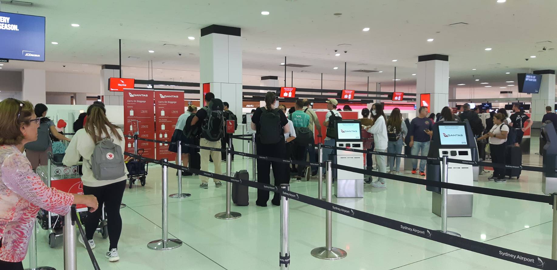 悉尼机场 行李 check in