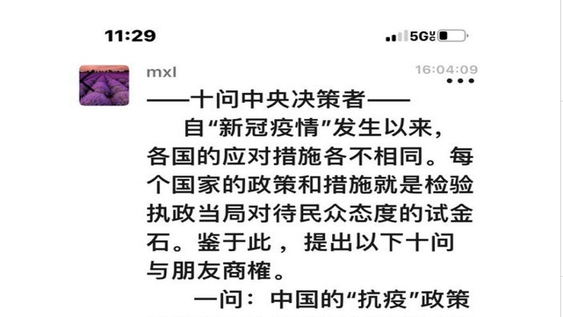「十問中央決策者」截圖