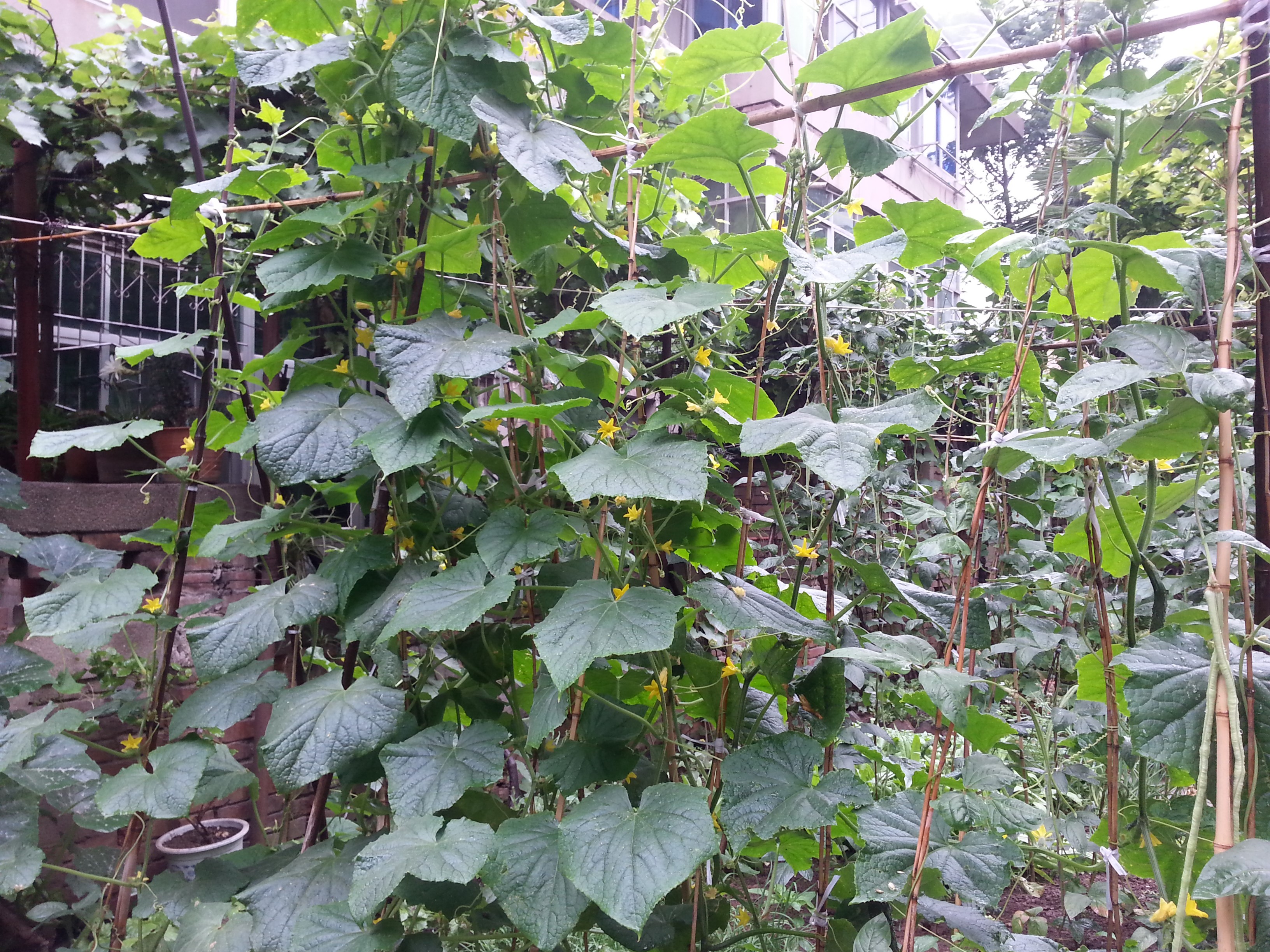 作者：拜懷德 圖/供圖