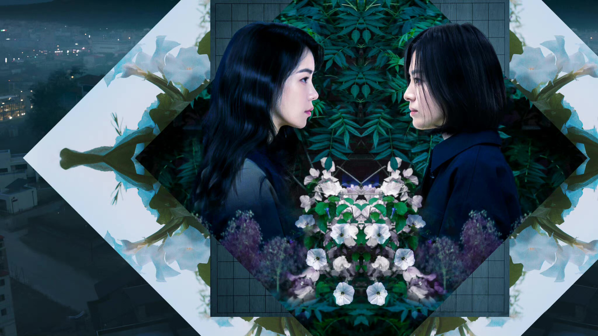 《黑暗荣耀》