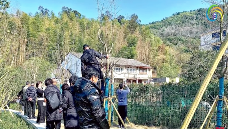 李强祖屋外