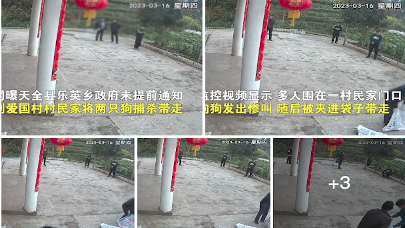 监控录像