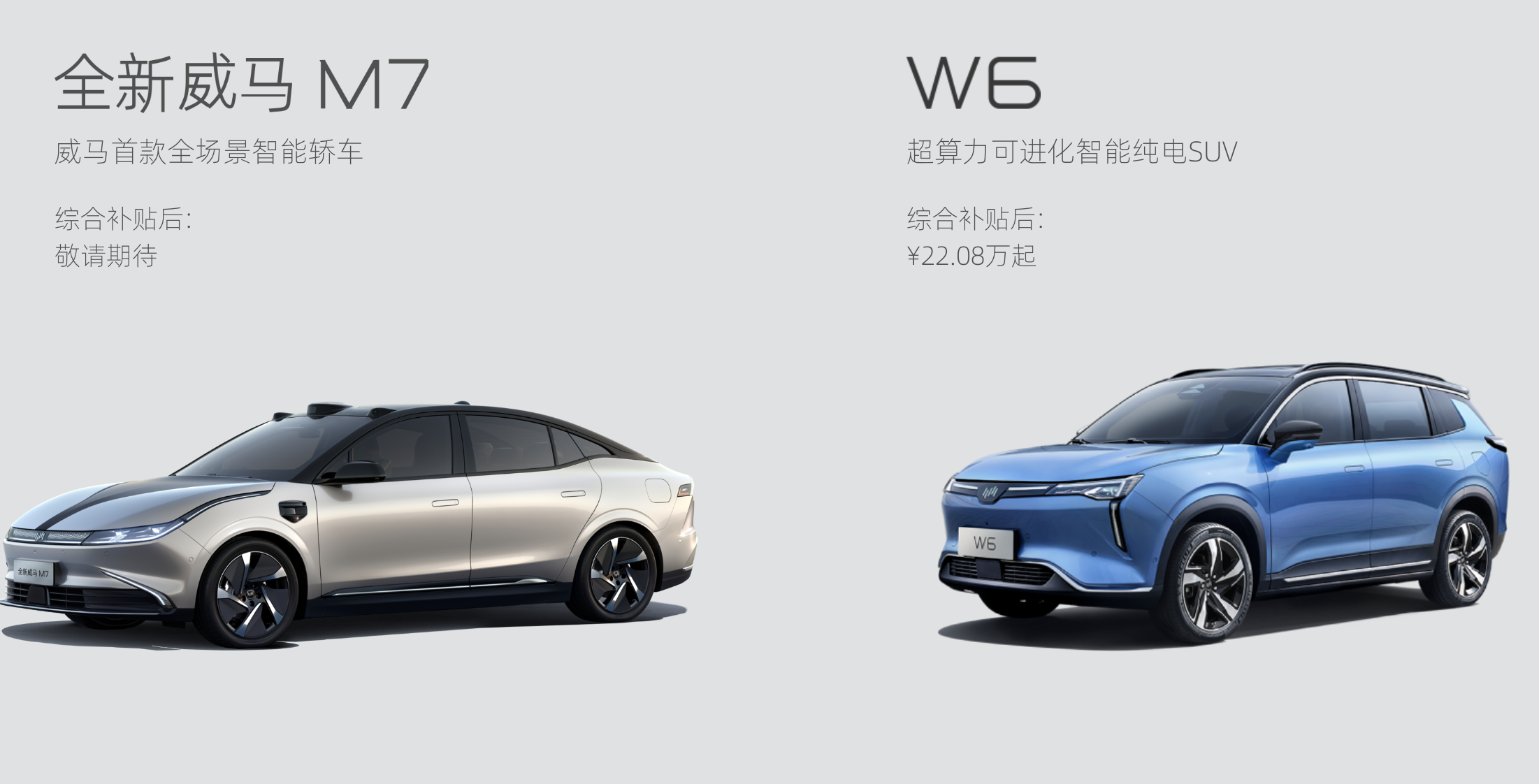 威马汽车官网截图