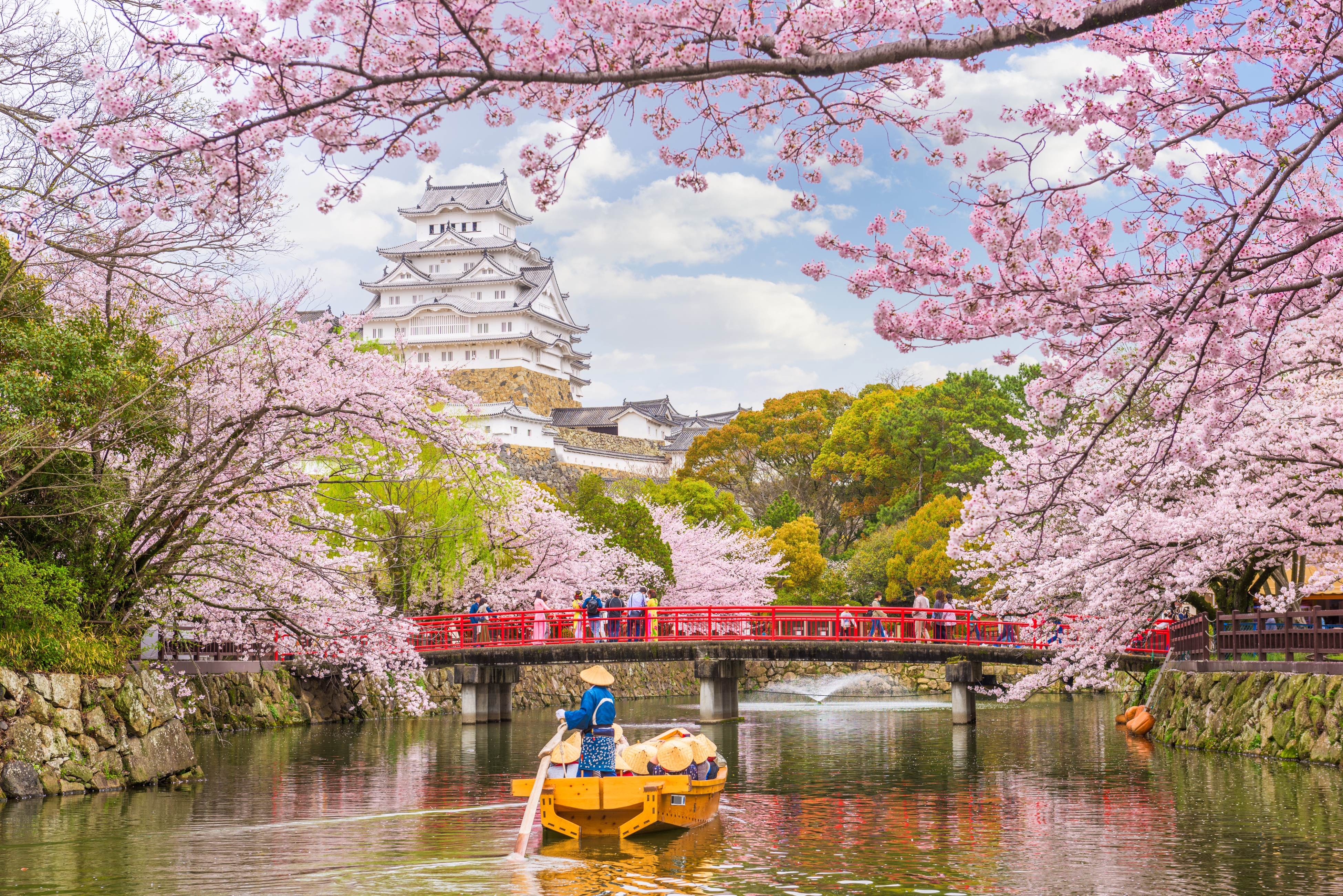 樱花 日本
