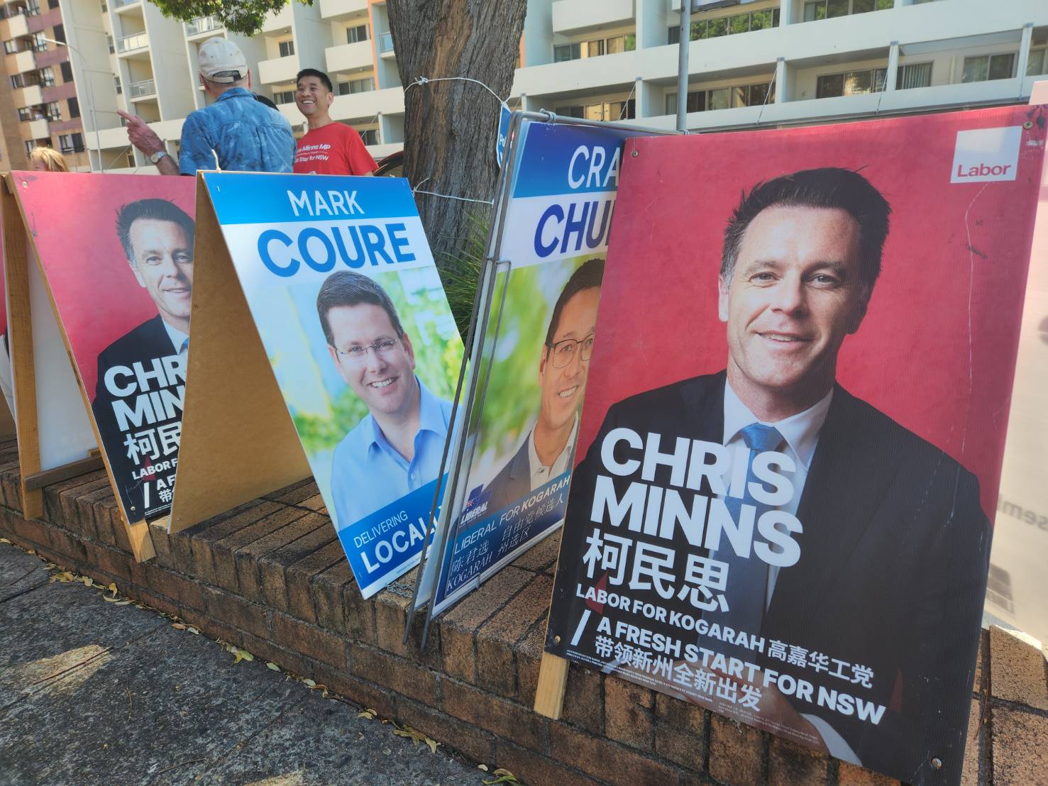 新州选举