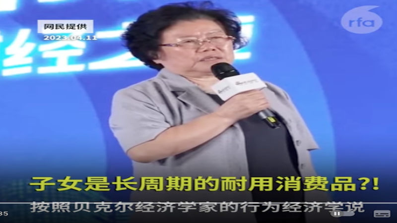 中国经济学者陈文玲