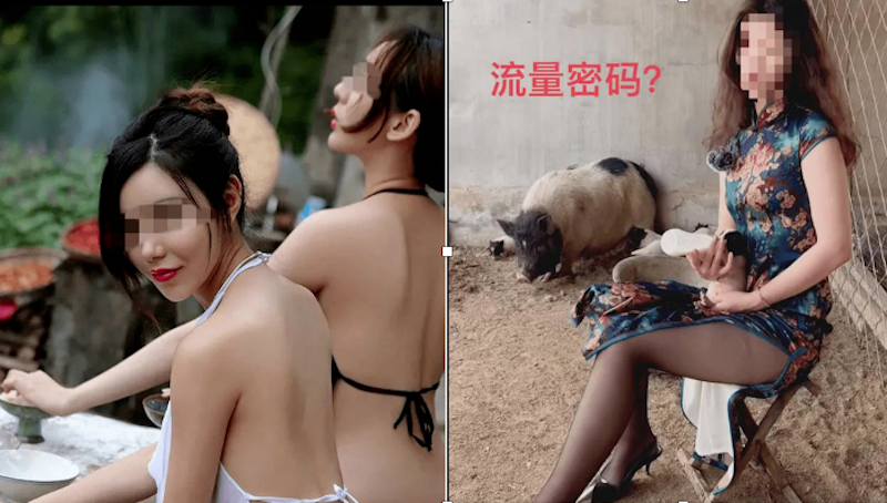 農媛