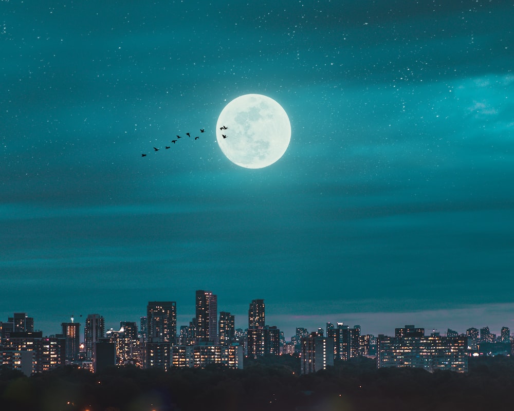 城市夜晚