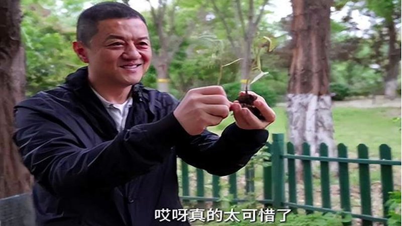 李亚鹏