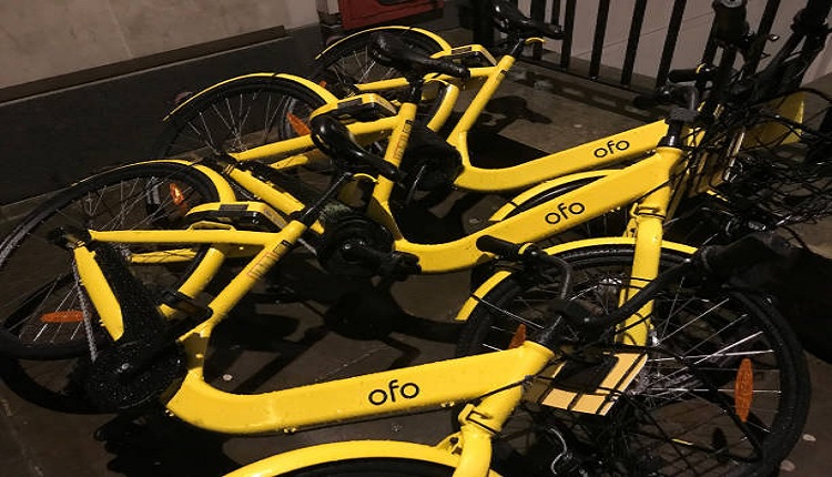 ofo小黄车