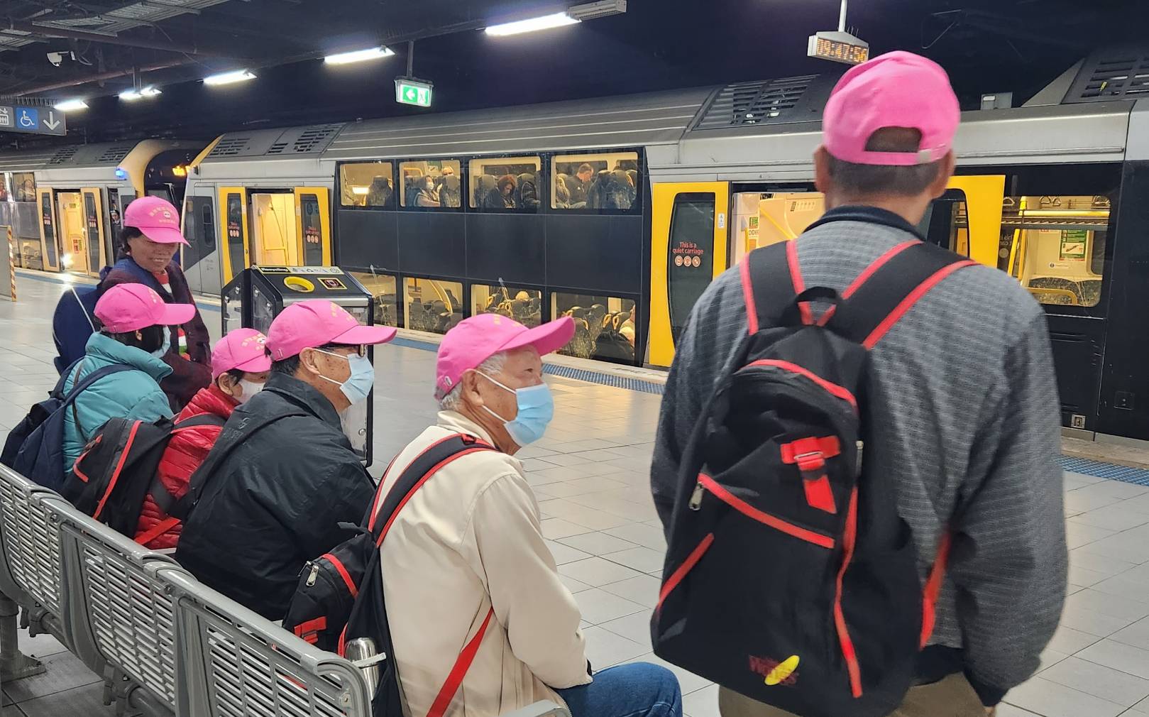 老人 悉尼火車 老年福利 旅遊