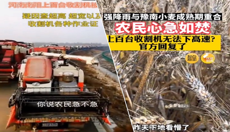 河南网民发“小麦收割遇阻”视频被罚 有2人遭行拘