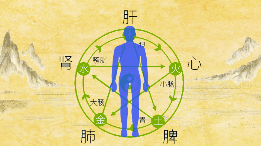五脏与五行