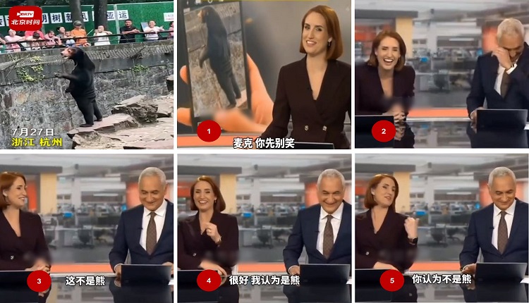 能站立的熊太吸睛了 西媒相继报导 主播笑到喷泪吵翻天