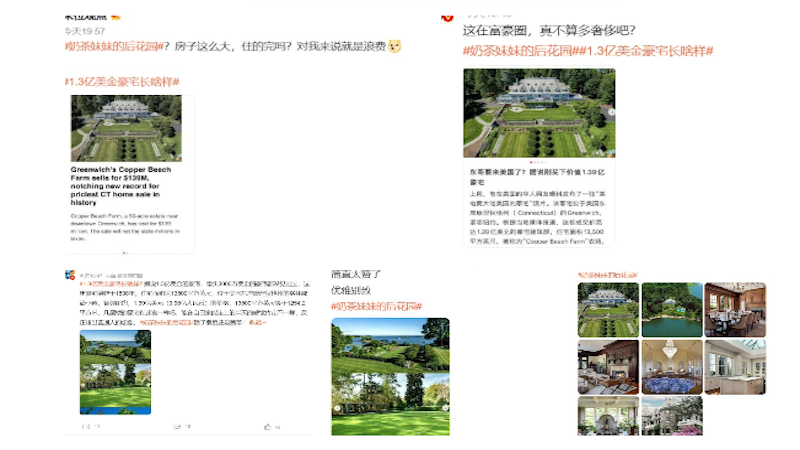 京东创始人刘强东与妻子章泽天移民美国
