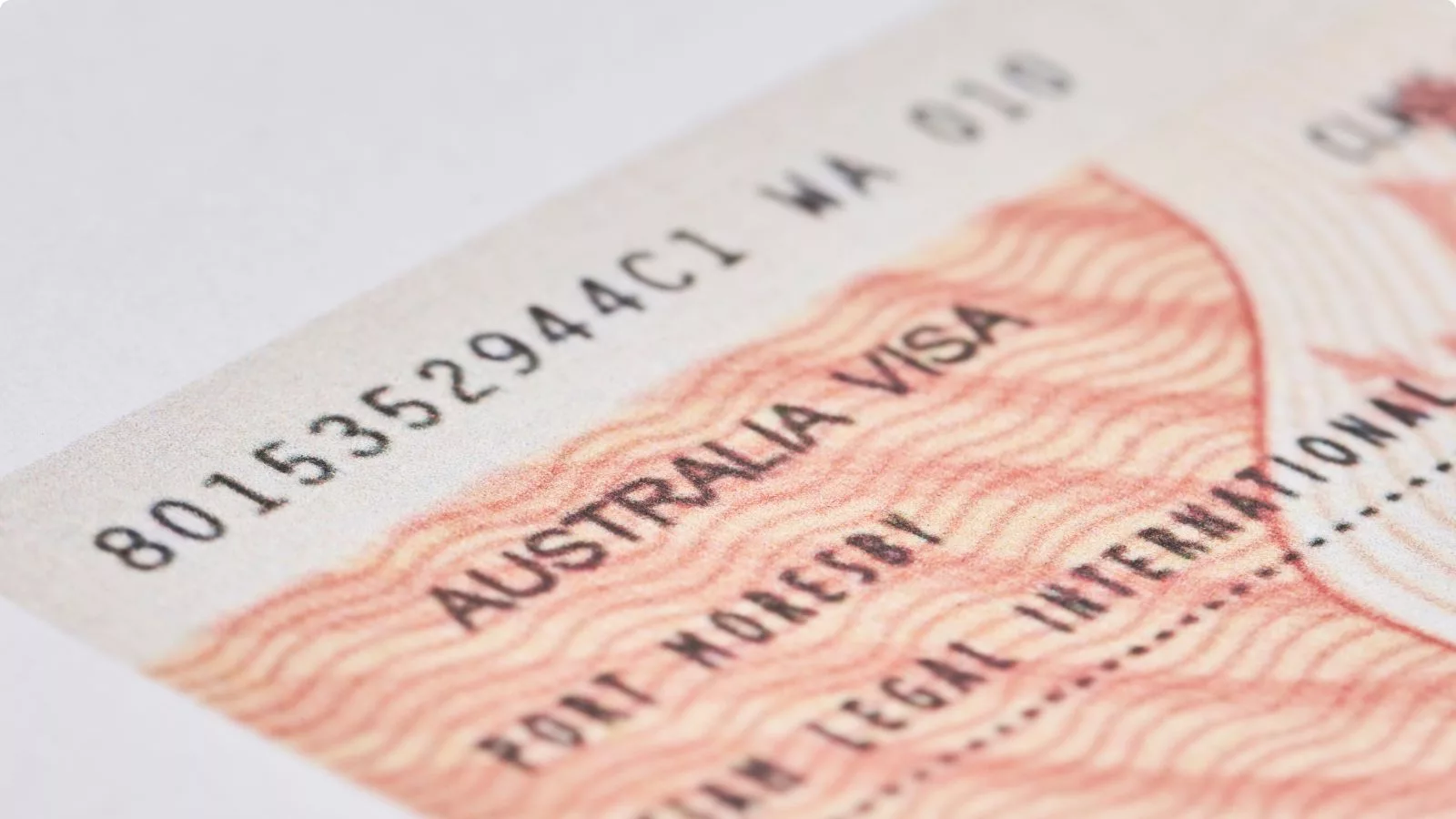 visa