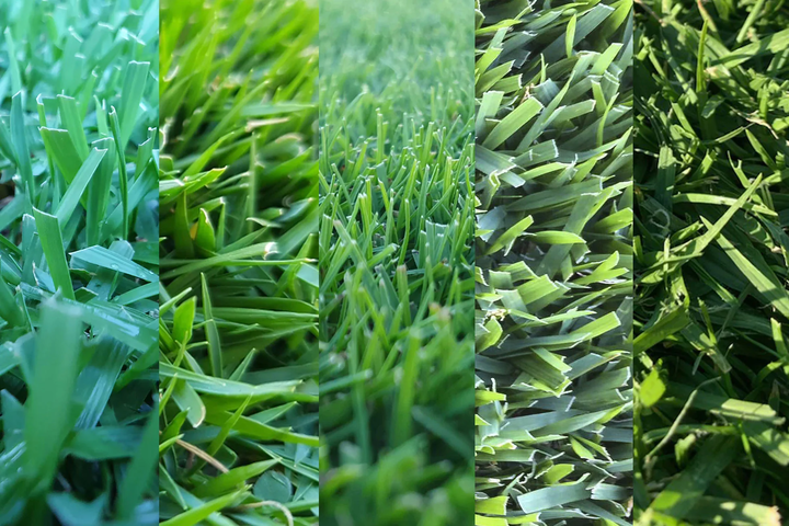 Lawn Type