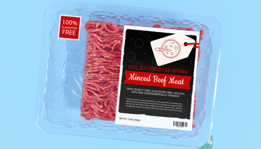 Lab grown cell cultured meat concept